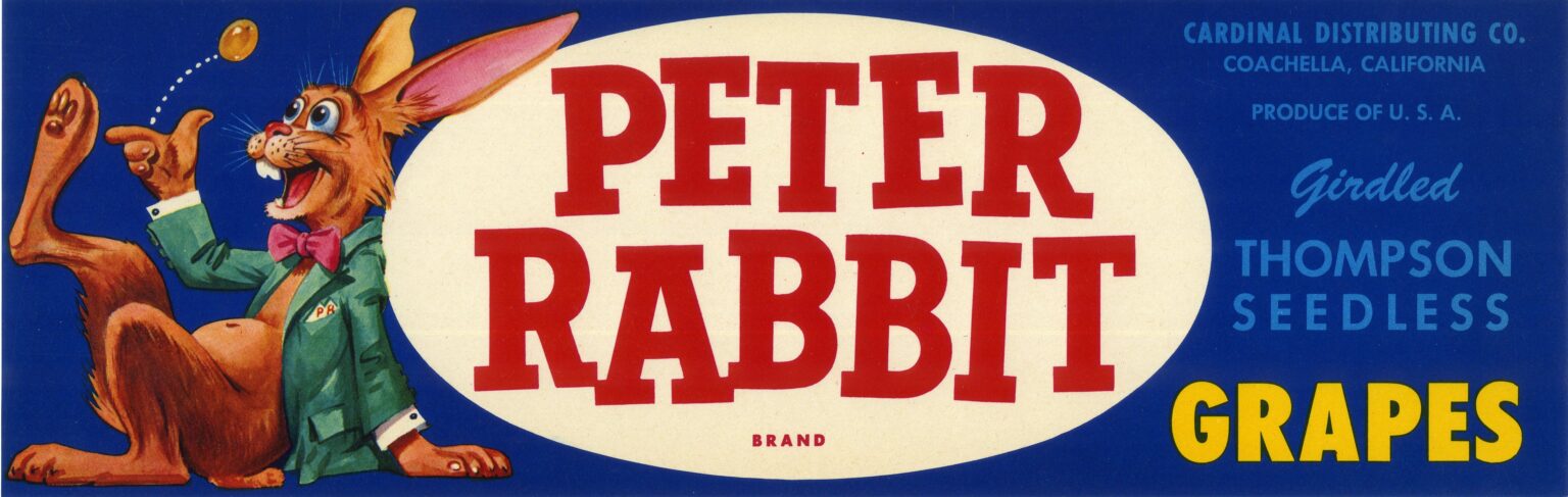 Peter Rabbit